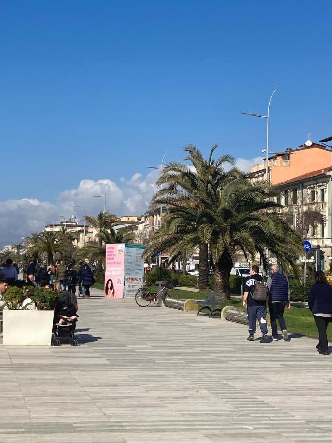 Casa Del Geco - La Natura Intorno A Te Camaiore Eksteriør billede