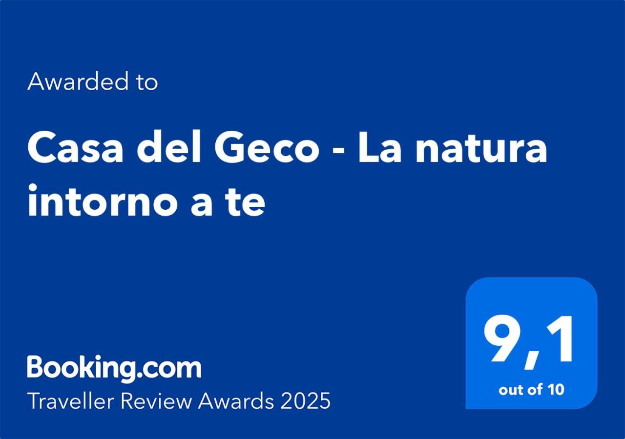 Casa Del Geco - La Natura Intorno A Te Camaiore Eksteriør billede